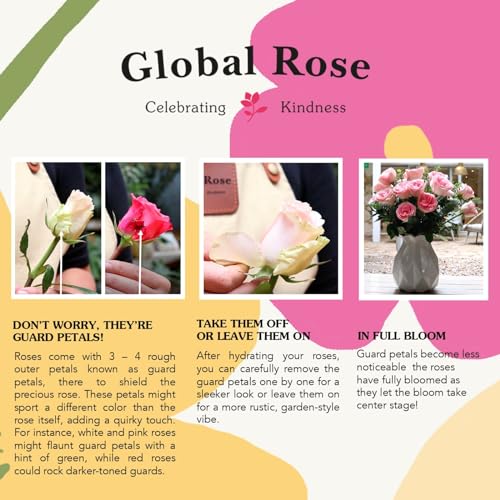 Fresh Flowers- 100 Assorted Carnations- Beautiful Gift
