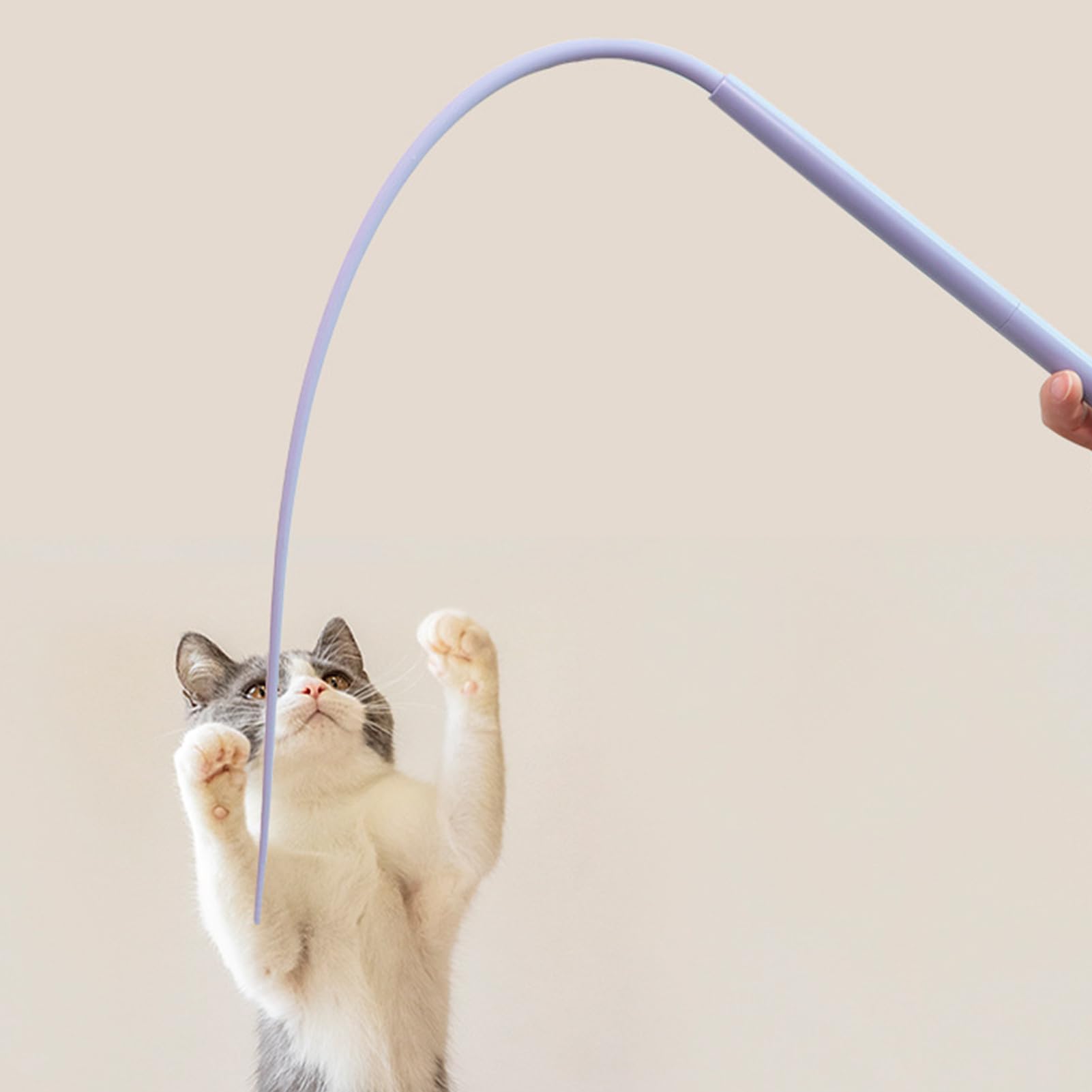 Amazon | 猫 玩具 鼠の尻尾 シリコン、シリコン猫からかいポール、室内