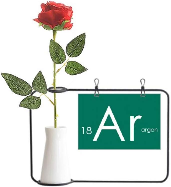 OFFbb-USAChemistry Elements Period Table Rare Gas Argon Ar Artificial Rose Flower Hanging Vases Decoration Bottle