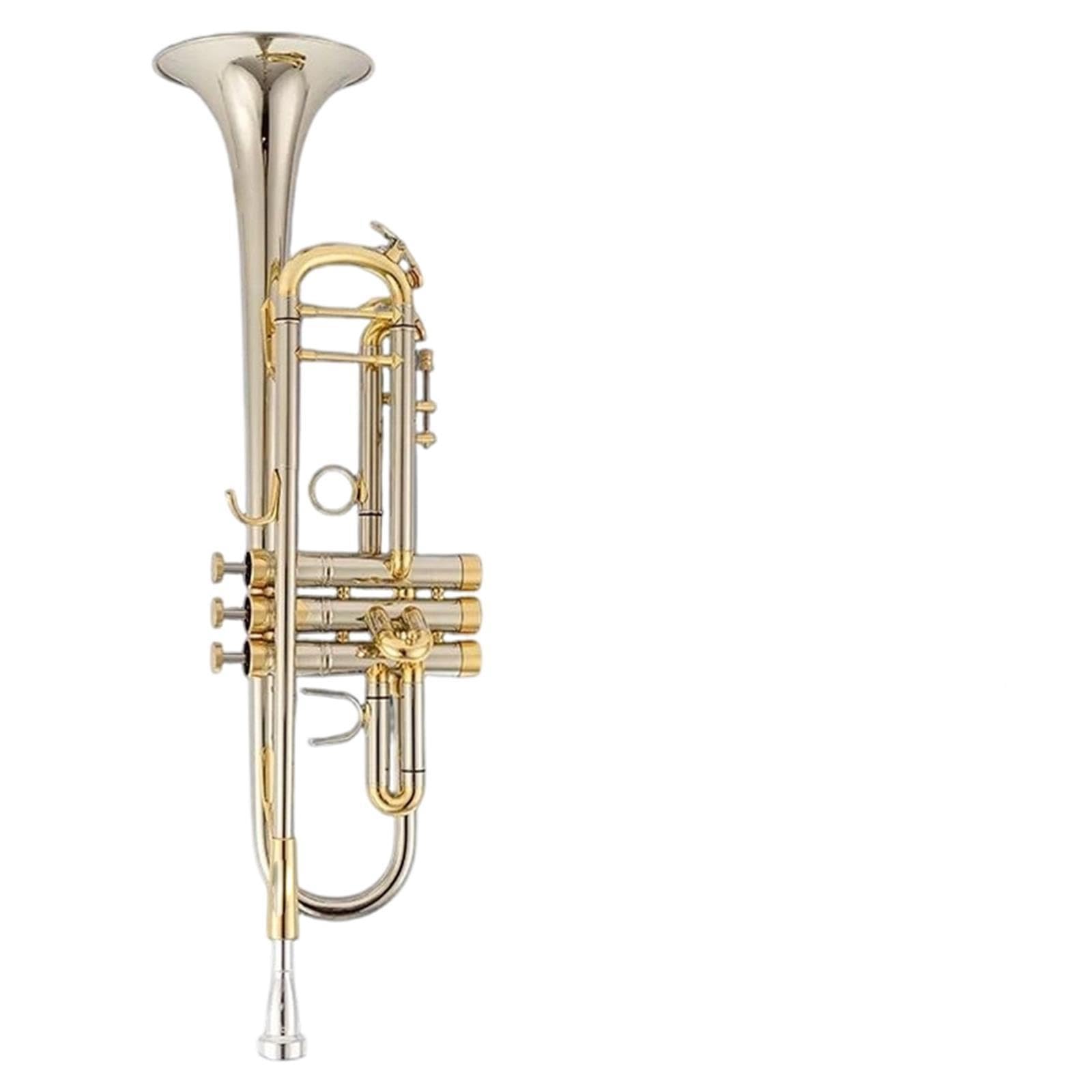 Professional Trumpet Trompeta profesional en si bemol