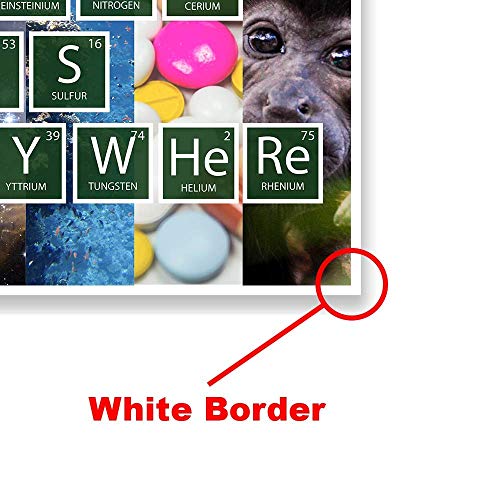 Science Classroom Posters | Science Is Everywhere | Science Classroom Decorations | 12-Inch By 18-Inch | Science Supplies For Classrooms | For High School, Middle School, Elementary Bmc1 #TOP3