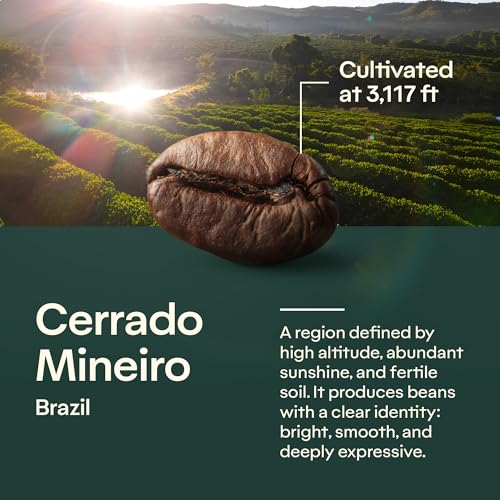 Spiritually – Specialty Coffee Beans 100% Arabica 8.8oz miniatura 6