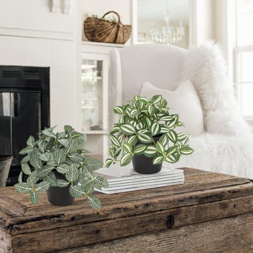 Small Artificial Plants Indoor in Pot Set of 3 Decorative Fake Plants Realistic Faux Plant Potted for Home Aesthetic Living Room Bathroom Desk Shelf Office Decoration - Image 4
