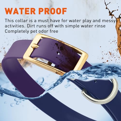 Image of Viper Biothane Heavy Duty Waterproof Dog Collar Strong Coated Nylon Webbing w /Solid Brass Hardware Odor-Proof Easy to Clean High Performance Fits Small Medium or Large Dogs, Violet Purple