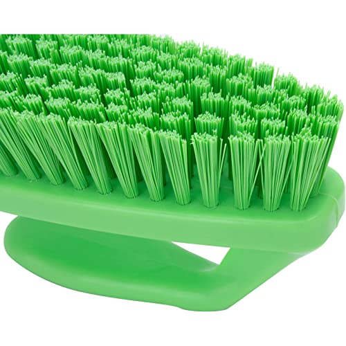 Image of SPARTA Scrub Brush with Iron Shaped Handle and Stiff Bristles, Heavy Duty Scrubber Brush for Kitchen, Bathroom, Shower, Tile, Sink, Carpet and Bakepans, Polypropylene, 6 Inches, Lime, (Pack of 6)