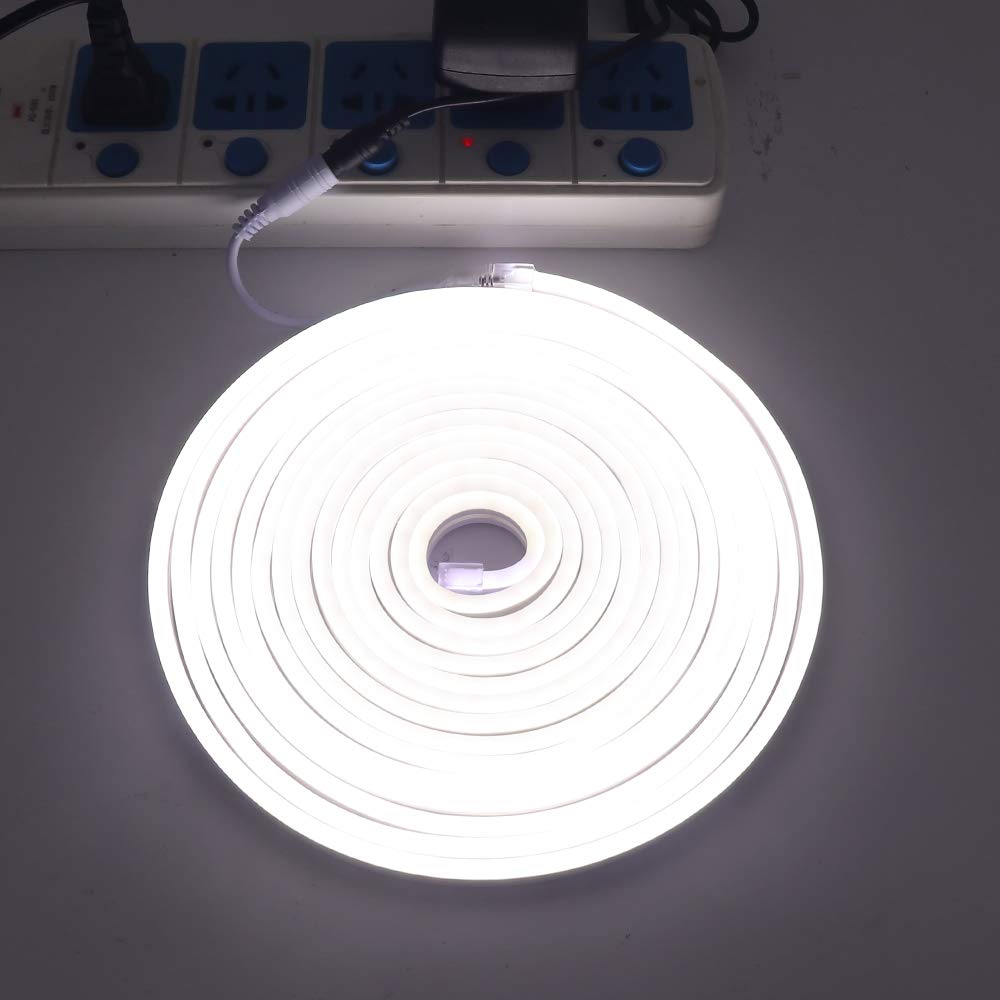 XUNATA 5m Bianco Freddo Striscia LED al Neon con Alimentatore, Flessibile, Impermeabile, DC 12V Luci LED 2835 per Esterni, Feste, Decorazione per Feste, Insegne Pubblicitarie