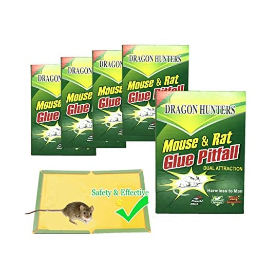 Dragon Hunters 5 Pack Large Size Mouse Glue Trap, Sticky Super Hold Glue Board Traps for Mice Rats Rodents Cockroaches Bugs Ants Spiders Scorpions, Extra Large (8.5" x 12.5")