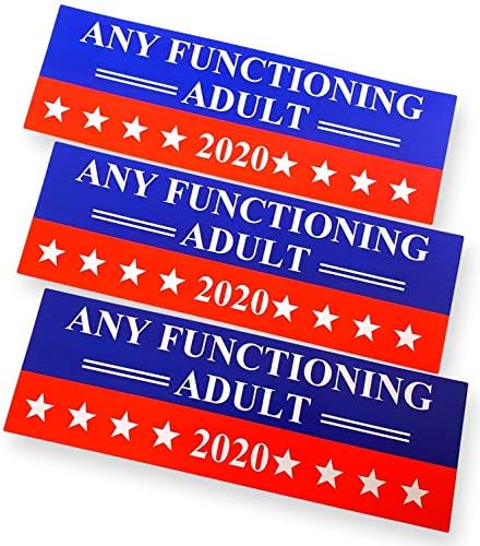 Amazon.com - Any Functioning Adult 2020 Bumper Sticker (3 Pack) Any ...