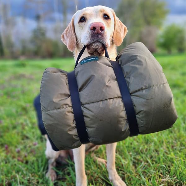 Alfombra Gruesa Ultraligera De Aguacate Para Acampar Al Aire | Cuotas