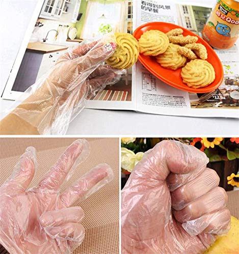 Renquen 100 Pcs Gloves DIY Cleaning Hair Dye PE Gloves Powder Free Premium Cast Poly Gloves for Cooking Cleaning Food Handling Hair Dying