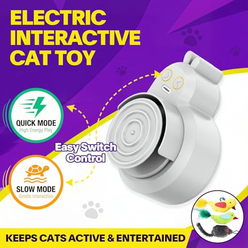 Image of Interactive Cat Toys for Indoor Cats: Automatic Electric Flying Bird Feather & Mouse Wand, Rechargeable Electric Hanging Play Chase Exercise Moving Enrichment Toy for Bored Kittens and Adult Cats