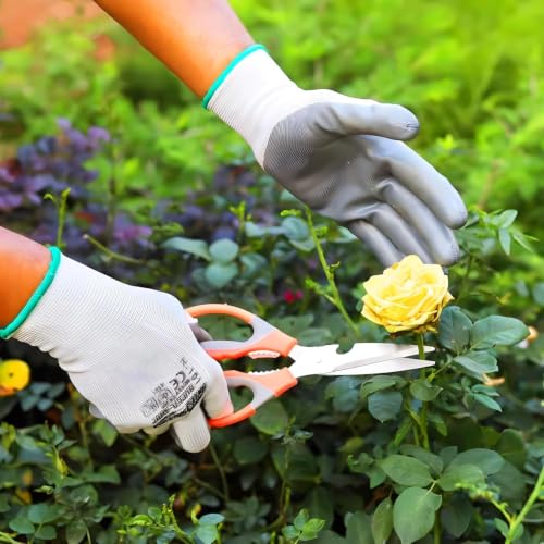 Image of Plant Scissors for Home Gardening, Non-Slip Handle with Easy Grip, Rust-Resistant, Heavy-Duty, Ideal for Trimming, Cutting, Cracking Nuts & Bottle Opener