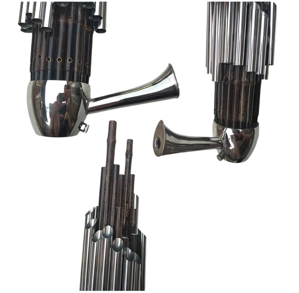 Sheng 17 anches avec tube amplificateur instrument à vent chinois