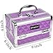 SHANY Chic Makeup Train Case Cosmetic Box Portable Makeup Case Cosmetics Beauty Organizer Jewelry storage with Locks, Multi trays Makeup Storage Box with Makeup Mirror - Purple