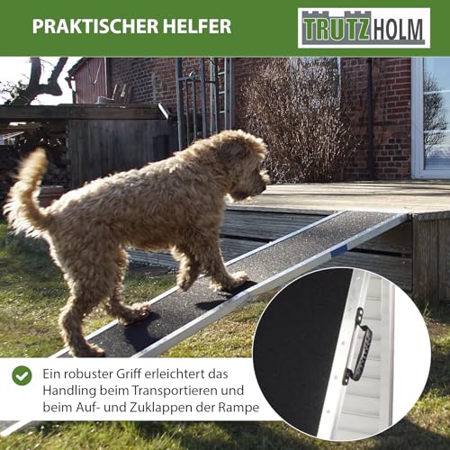 TRUTZHOLM Hunderampe klappbar 215 cm Traglast 180 kg Alu grau schwarz beschichtet Tierrampe Tasche