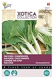 Pak-Choi: sembrar en filas a partir de mediados de julio a finales de agosto en campo al aire libre en filas, no trasplantar. En una siembra demasiado temprana y un trasplante, se forman fácilmente tallos de semillas. Pak-Choi se puede hornear en el wok y se puede cavar muy poco en agua hirviendo o abonar