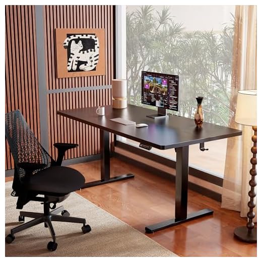 ErGear Adjustable Electric Standing Desk
