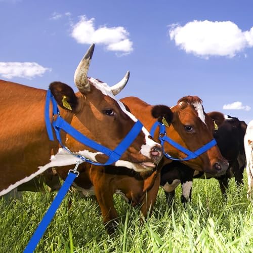 M METERXITY 1-Pack Cattle Cow Calf Halter 18.9-23.23in Nylon Blue - 5