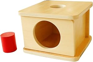 MONTESSORI OUTLET Imbucare Box with Large Cylinder