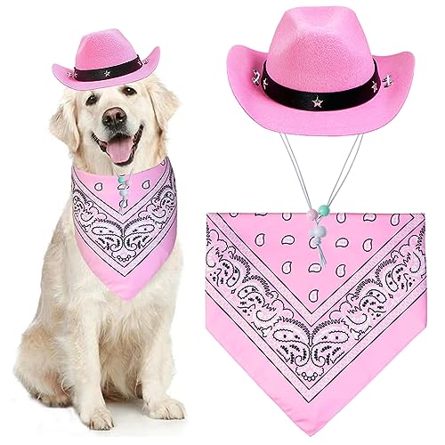 Yeehaw! Strut Your Pup in Style Top 10 Small Dog Cowboy Costumes