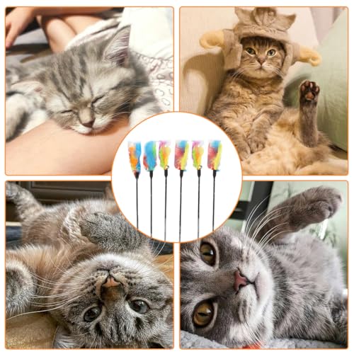 EIHI 6 Stück Federstab Interaktives Spielzeug Mit Federn Für Kätzchen