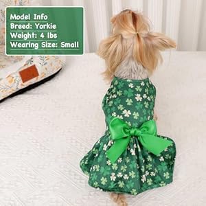 St. Patrick's Day Dog Green Dress for Small Dogs Girl,Four Leaf Outfits Skirt Dog,Puppy Dresses Clover Clothes,Pet Puppy Shirt,Yorkie Chihuahua Cat Clothes Costume with Bow Female(Green,M) St Patricks Day Dog Green Dress for Small Dogs GirlFour Leaf Outfits Skirt DogPuppy Dresses Clover ClothesPet Puppy ShirtYorkie Chihuahua Cat Clothes Costume with Bow FemaleGreenM