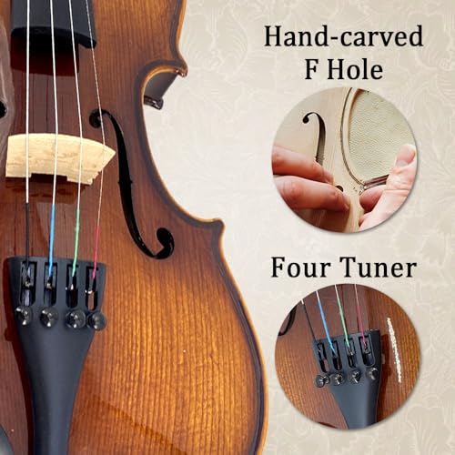 Professional Violin Beginner Full Size