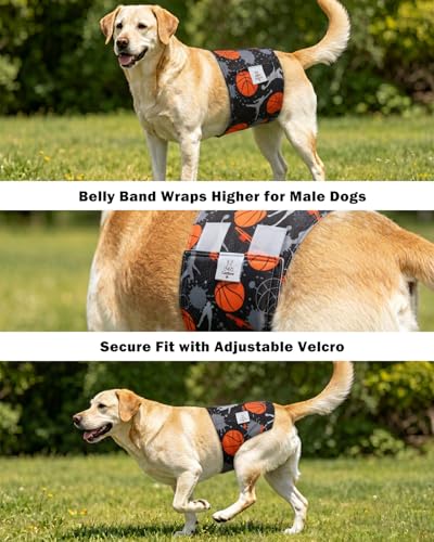 Image of CuteBone Dog Diapers Male Belly Bands 3 Pack for Male Dogs Reusable Puppy Wraps
