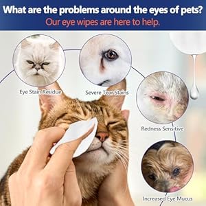 Dog Ear Wipes Eye Wipes for Cats Dog Tear Stain Remover Wipes Pet Eye Wipes for Discharge and Crust 60 Packs  Cucciolini Doodles Dog ear wipes eye wipes for cats dog tear stain remover wipes pet eye wipes for discharge and crust 60 packs   cucciolini doodles