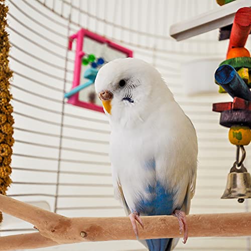 iplusmile Vogel Accessoire 2 stks Papegaai Baars Staande Pole Vogels Kooi Staande Stok Vogel Hout Staaf - Afbeelding 6