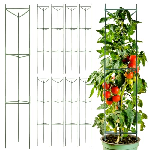 THY TRY 8 Pack 70in 6 FT Extra-Tall Tomato Cages for Garden Heavy-Duty Steel Tomato Trellis with 80 Clips Adjustable Plant Support for Tomatoes, Cucumbers, Climbing Vines