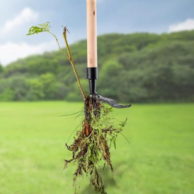 草取り テコ付根こそぎ 草取り テコ付根こそぎ