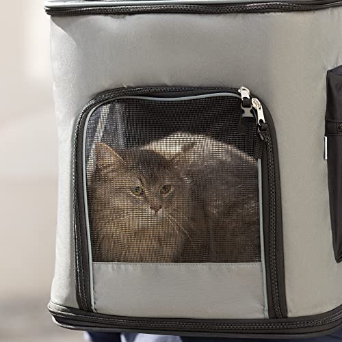 Navaris Rucksack für Hund Katze gepolstert - Hunderucksack Katzenrucksack mit Bauchgurt - 41x34,5x43cm Haustier Backpack faltbar - Traglast bis 12kg