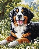 AMBATTERY Diy Handarbeit Setberner Sennenhunde Knüpf-Sets Vorgedruckt Erwachsene Knüpfset Teppich Knüpfkissen Set Knüpfsets Kreuzstich Tapisserie Kit 35x46in