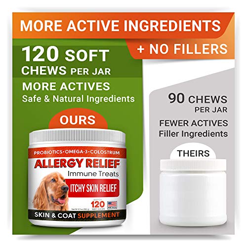 Strellalab Allergy Relief Chews For Dogs With Omega 3 + Probiotics + Colostrum - Itchy Skin Relief Immune Supplement - Skin & Coat Health - Digestion Support - Made In Usa - Anti Itch & Hot Spots #TOP3