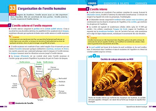 Enseignement scientifique 1re: nouveau programme
