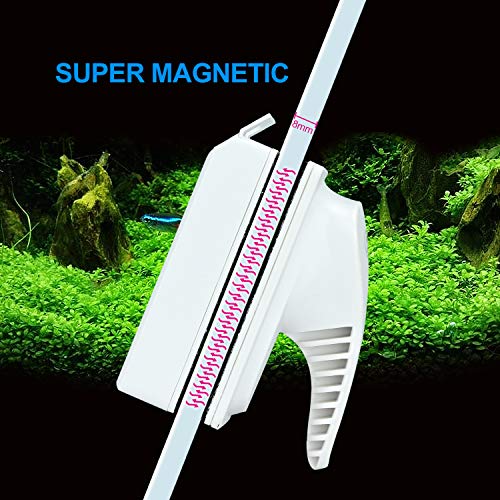 Calamita Acquario Lavavetri Magnetico per Pulizia