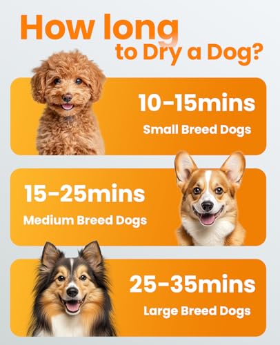 Oneisall Dog Dryer For Fast Blow-Drying,4-In-1 Quiet Dog Blow Dryer For Grooming With Adjustable Wind Speed&Temperature,Perfect For Small & Large Dogs At Home,Ideal For Quick&Efficient Drying thumb #3