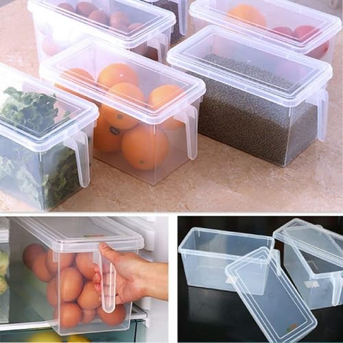 Image of Fridge Storage Boxes /Food Grade Kitchen Containers /Square Handle Food Storage Organizer Boxes With Lid And Handle For Refrigerator Vegetables -5L Air Tight (Pack Of 1), Transparent