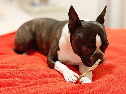 Hund Leckerli Getreidefrei. Hundesnack Fisch. Getrockneter Kabeljauhaut. Omega -3. Kauartikel Hund Natur für Kleine Mittleregroße Grosse Hunde. Twistter. 80 G