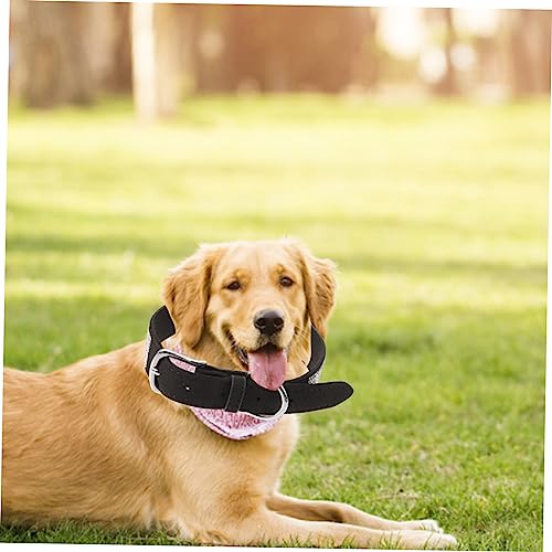Angoily Hundehalsband Mit Borte Hundefliege Für Hunde Und Katzen Strapazierfähiges Material Süßer Und Modischer Look Praktisches Accessoire Für Tiere
