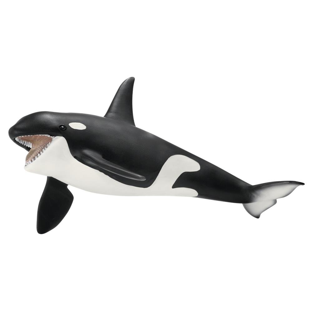 Amazon.co.jp: Schleich シュライヒ ワイルドライフ シャチ 14697