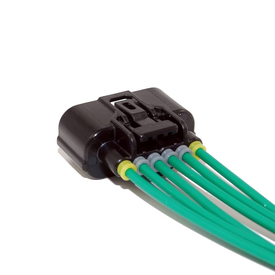 その他 Self Assembly p706p5g PB-CMV-MCS-EF1α-Puro PiggyBac cDNA Cloning and Expression