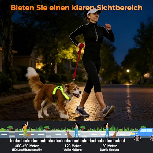 LED Hundegeschirr Leuchtend - Bequemes Leuchtgeschirr für Hunde, 7 Farben & Blinkmodi - USB-C Aufladbar, 11h Laufzeit - Für Mittelgroße Hunde 8-25kg