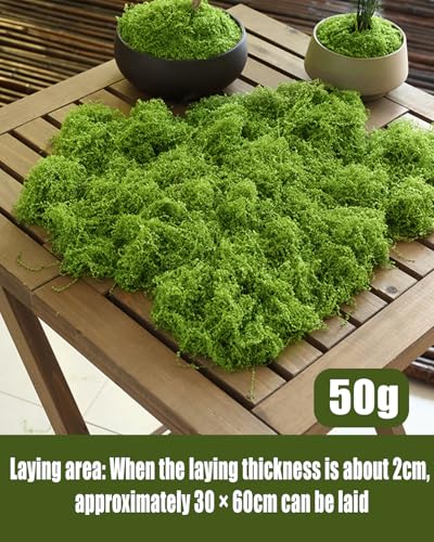 Image of NHCDFA Synthetic 100g Artificial Grass for Decoration,Fake Grass,Artificial Grass,Artificial Moss,Fake Moss Decorative Craft Moss for Lawn Green Plant Aquarium Landscaping,Garden Home Decoration