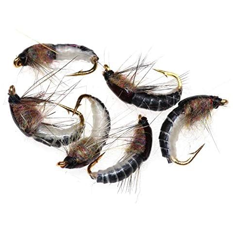 CloudWhisper 6 Pcs Realistic Nymph Flies Cover