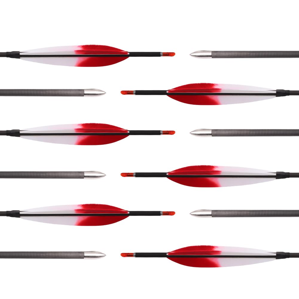 12 Stück ID 4,2 mm Rot Weiß Farbverlauf Putenfeder Pfeile Spine 300 350 400 500 600 700 800 900 1000 1100 1300 1500 1800, für Bogenschießen Übung & Jagd