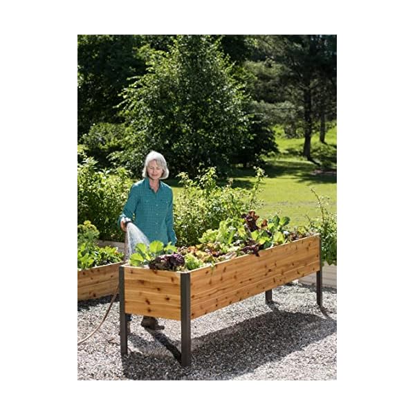 Gardener's Supply Company Raised Garden Bed Elevated Cedar Planter Box | 2' x 8' Heavy Duty Standing Garden Planters for Outdoor Plant Vegetables & Flower Gardening Perfect for Patio, Lawn & Backyard