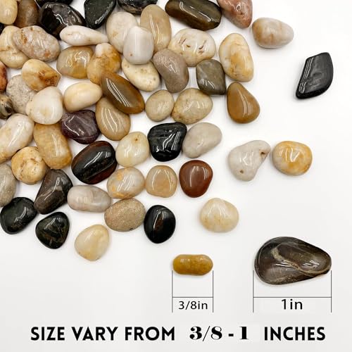 Image of RITOLLO River Rocks Pebbles for Indoor Plants 3 /8-1 Inch Natural Aquarium Gravel Decorative Fish Tank Rocks Garden Landscaping Decor