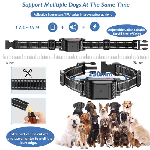 Dog Training Collar with Remote